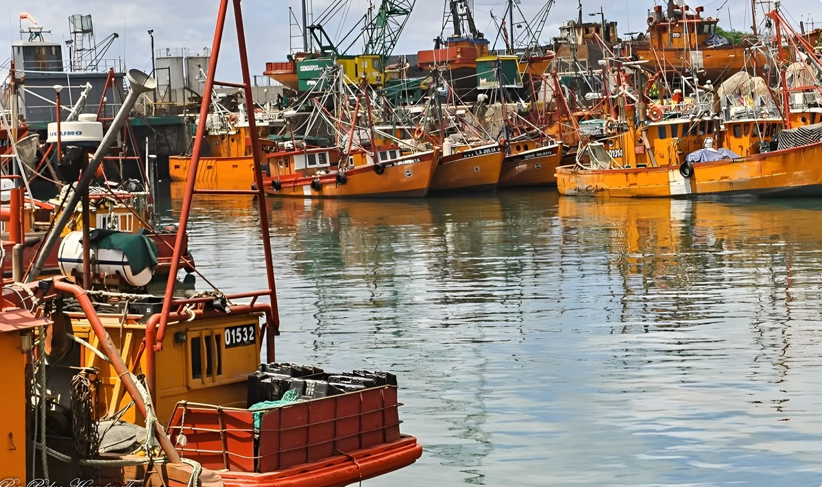 21 de Noviembre, D铆a mundial de la Pesca: Herencia, Mar y Trabajo