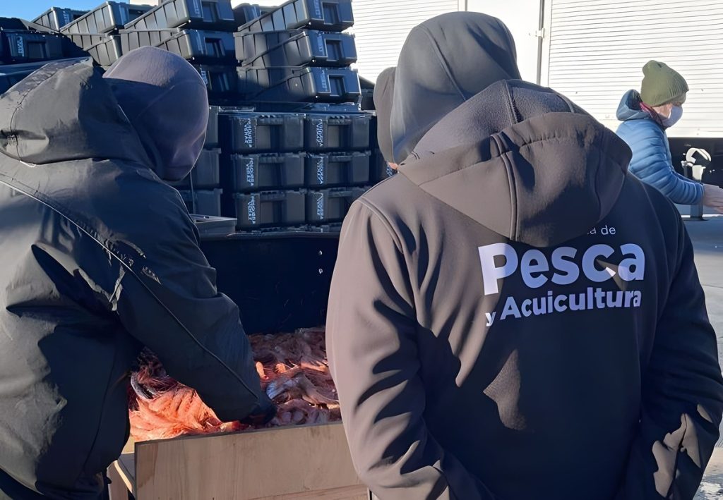 Chubut alerta por el riesgo de doble control en puertos provinciales