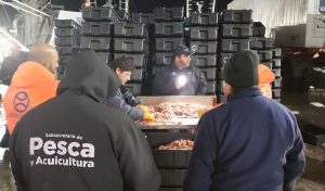 La Nación refuerza la presencia de inspectores pesqueros en puertos provinciales