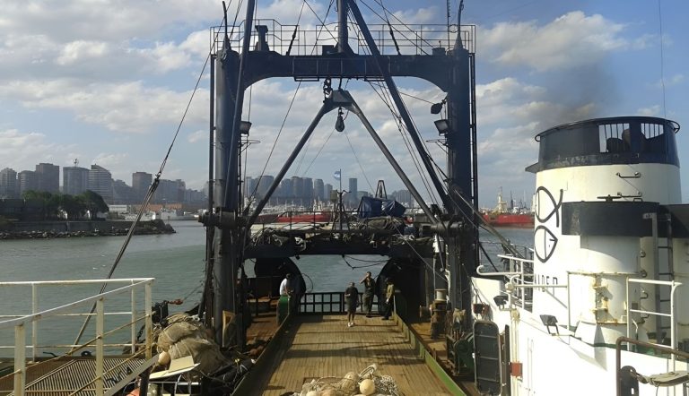 INIDEP y DINARA evalúan el estado de la merluza común en aguas compartidas