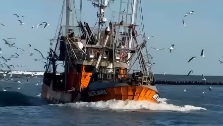 La flota amarilla de Rawson ya suma 2.000 toneladas de langostino