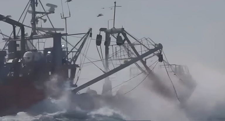 Mal tiempo vuelve a frenar la prospecci贸n de langostino en Chubut y crece la incertidumbre sobre la temporada 2025/2026