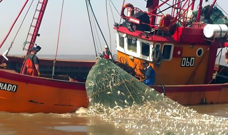 La provincia cierra la zafra 2025 de Corvina Rubia en el RÃo de la Plata