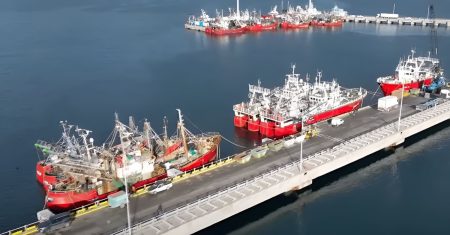 Pasada la tormenta, el langostino abre aguas con la antesala de la cuotificación