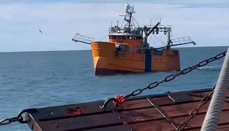 Conciliación Obligatoria destrabó la temporada de langostino en Chubut