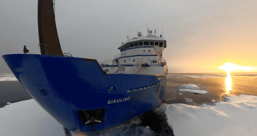 Se autorizaron tres campañas internacionales de investigación marina en aguas argentinas