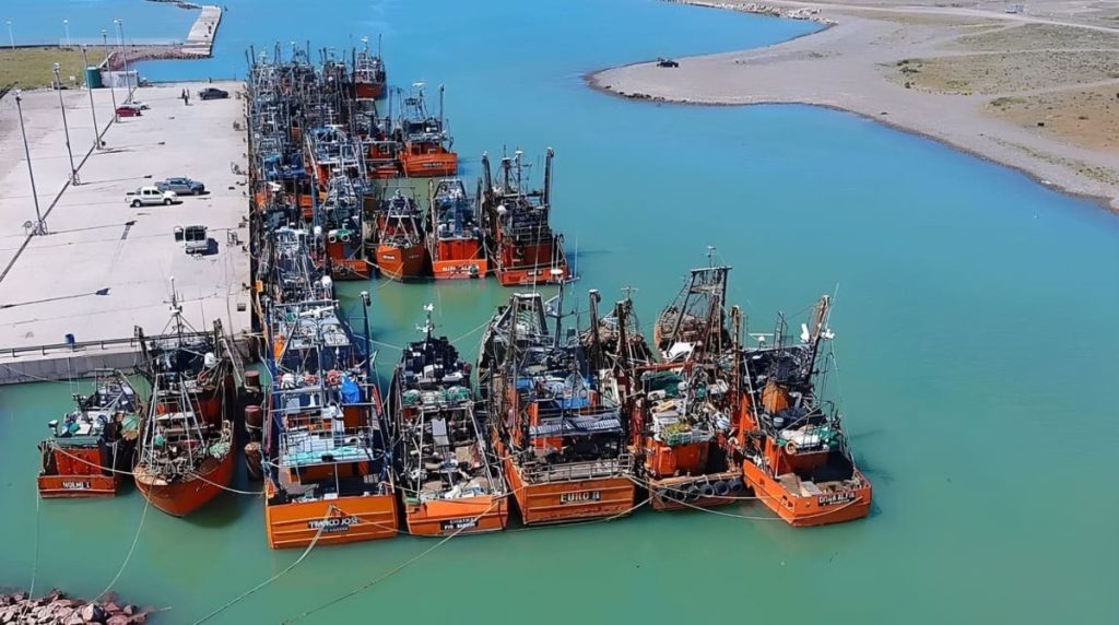 Chubut: OIA advirtió que cualquier aumento del esfuerzo pesquero deberá ser reevaluado