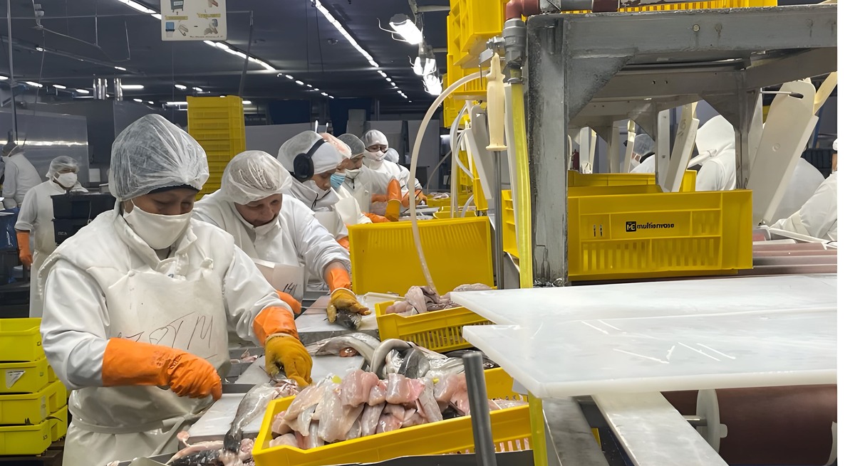 Red Chamber y Chubut: Del conflicto y las acusaciones cruzadas al acuerdo millonario