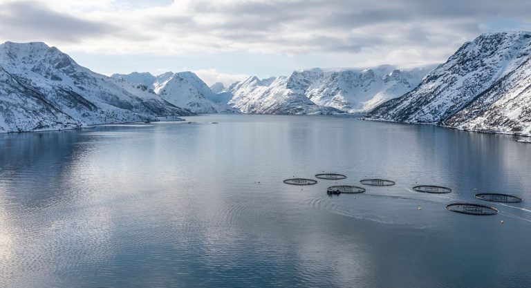 Organizaciones ambientalistas se oponen al avance de la salmonicultura en Tierra del Fuego
