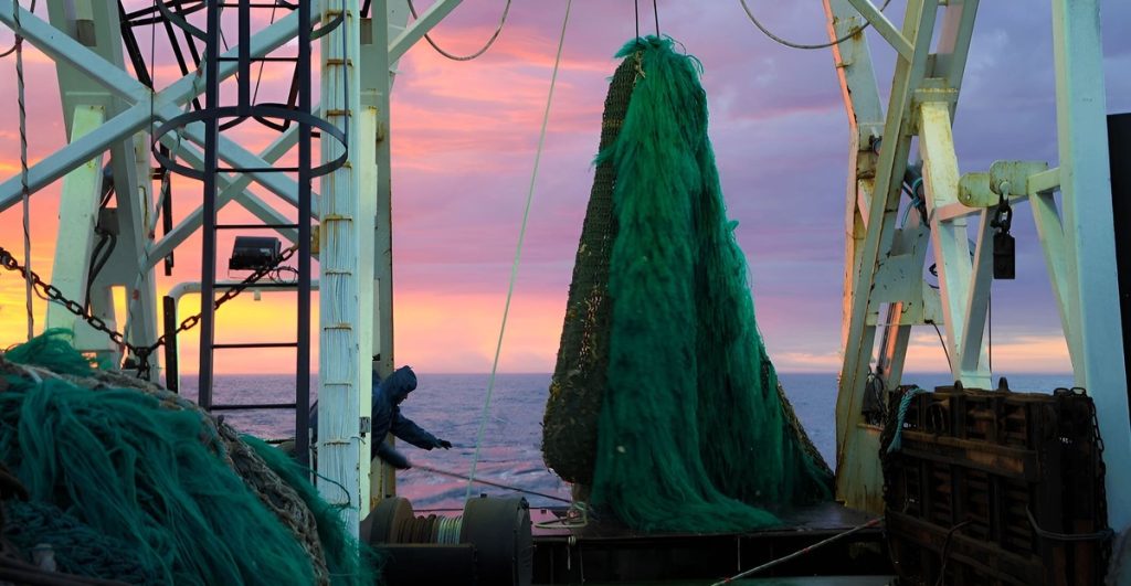 Consejo Federal Pesquero. Sesión semanal, Resolución Nro.15/2025. Vieira patagónica