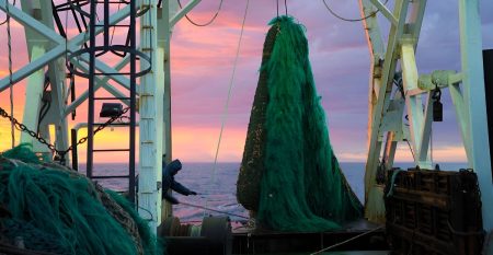 Consejo Federal Pesquero. Sesi贸n semanal, Resoluci贸n Nro.15/2025. Vieira patag贸nica