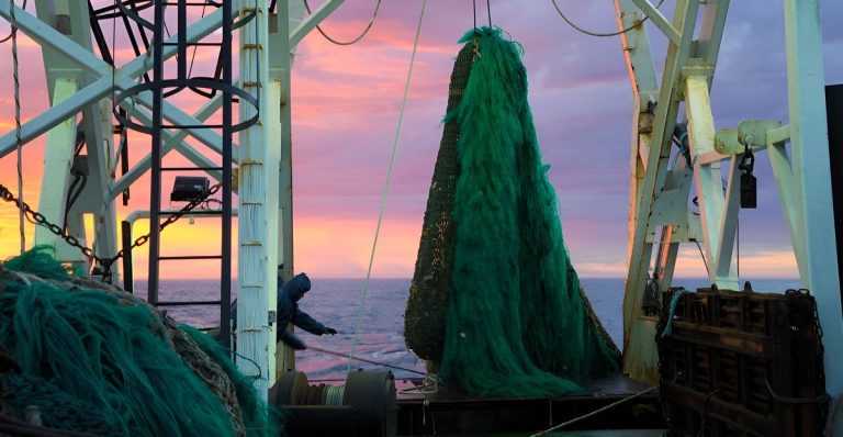 Consejo Federal Pesquero. Sesi贸n semanal, Resoluci贸n Nro.15/2025. Vieira patag贸nica