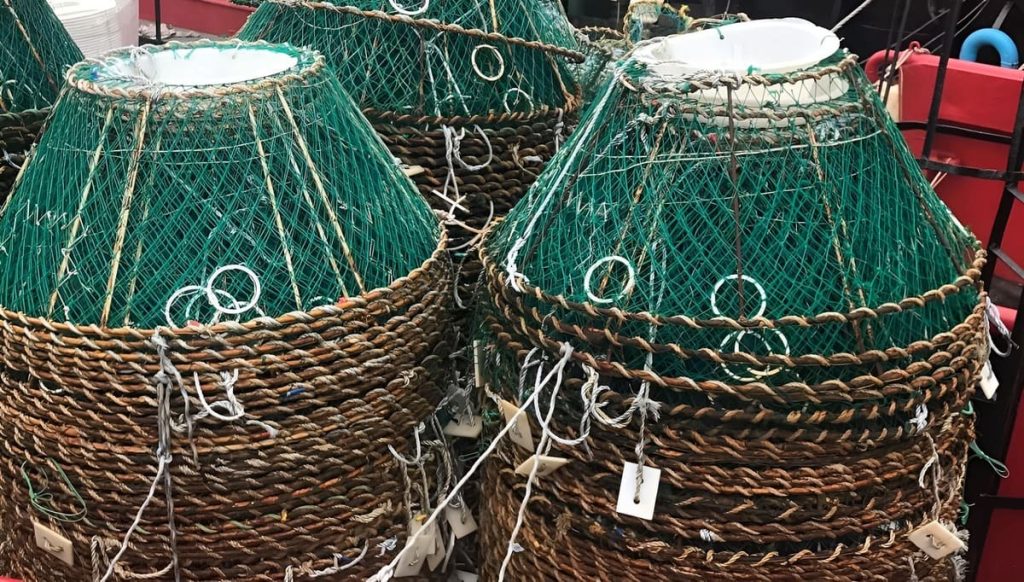 Bentónicos de Argentina aseguró cumplir con todos los protocolos ambientales