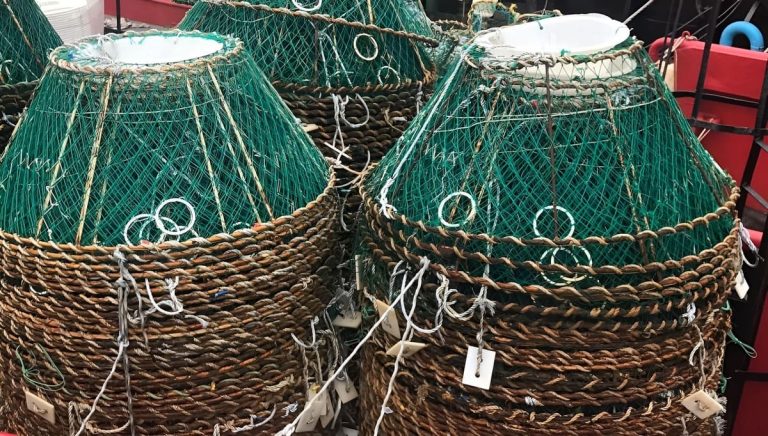 Bent贸nicos de Argentina asegur贸 cumplir con todos los protocolos ambientales