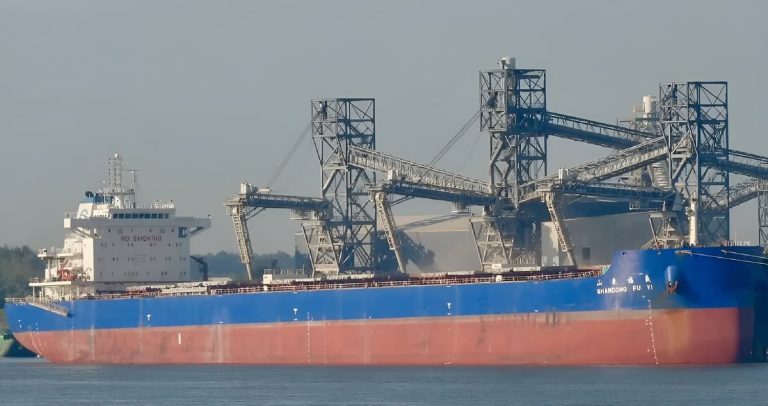 La ANPyN aprob贸 los pliegos y lanz贸 una nueva licitaci贸n para la V铆a Navegable Troncal