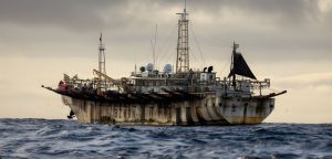 Cómo actúa el Estado argentino ante la detección de buques extranjeros en la Zona Económica Exclusiva