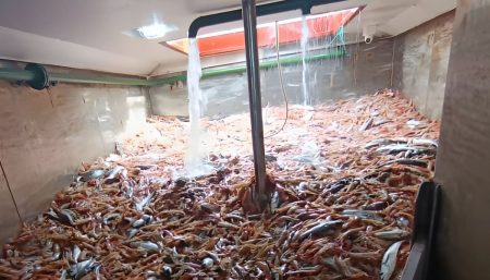 SUPA alerta por el estado del caladero de langostino