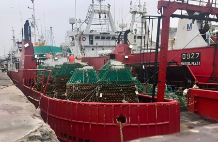 Actualizan medidas de manejo para la centolla