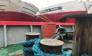 Consejo Federal Pesquero. Resolución Nro.16/2025: CMP 2026 para polaca, merluza común y merluza negra