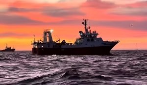 Excepción a la regla: el caladero argentino goza de salud