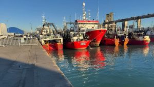 Desembarques 2025: Las pesquerías que marcaron el pulso del año