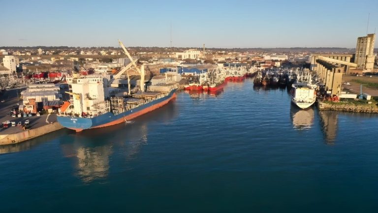 Quedó desierta la licitación de la Terminal de Contenedores de Mar del Plata