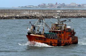 Consejo Federal Pesquero. Sesión semanal. Acta Nro. 34/2025