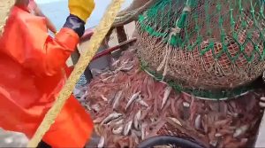 La ideologÃa del “orden†selectivo: Cuando la cuotificación se vuelve relato y no polÃtica pública