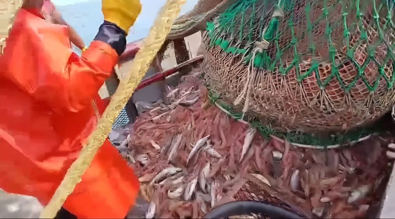 La ideologÃa del “orden†selectivo: Cuando la cuotificación se vuelve relato y no polÃtica pública