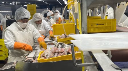 Red Chamber admite contrataciones ilegales y el STIA acusa al Gobierno de Chubut de avalar un fraude laboral