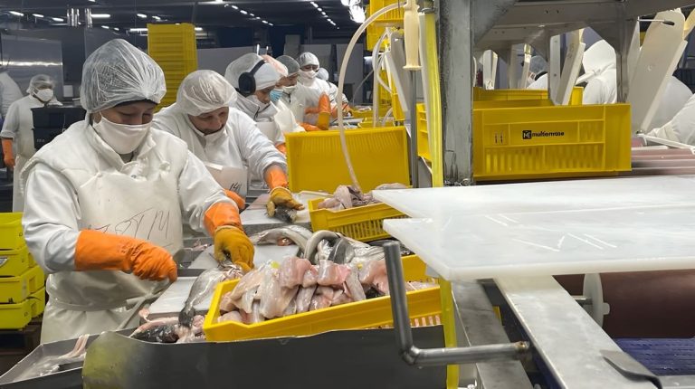 Red Chamber admite contrataciones ilegales y el STIA acusa al Gobierno de Chubut de avalar un fraude laboral