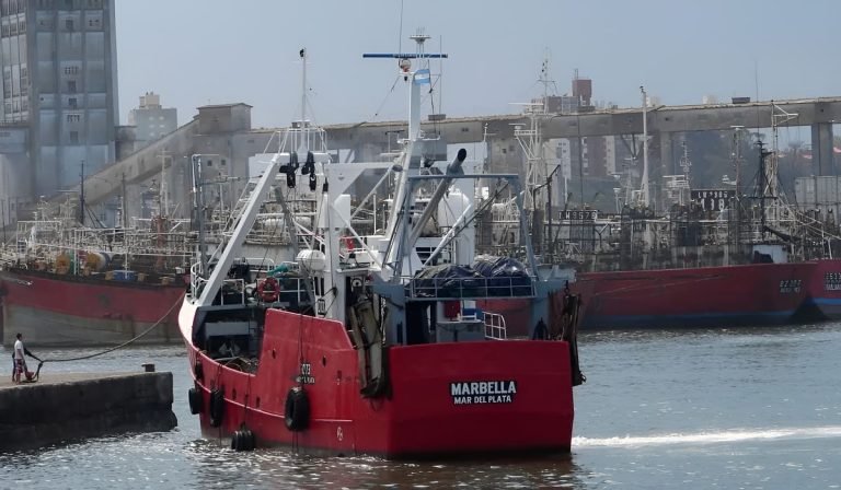 Arranca la Temporada de Pesca 2026. Expectativa por precio y demanda en mercados mundiales