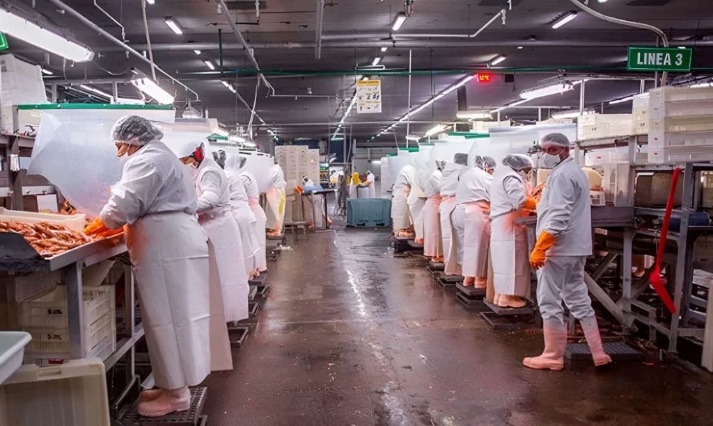 Ex Alpesca: mientras escala el conflicto laboral, el STIA volvió a exigir que Chubut haga público el acuerdo con Red Chamber