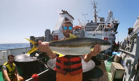 Inician campaña de investigación de peces pelágicos grandes en el banco de pez limón