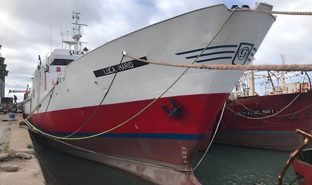 Merluza común: se mantienen vigentes las paradas biológicas