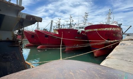 CEPA pide habilitar arrastreros al norte del 41° y la flota fresquera de altura se opone