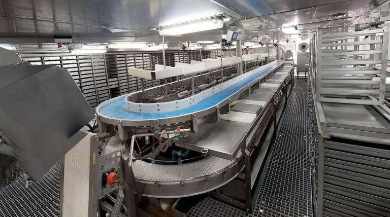 Pesca 2025: Mar del Plata concentra, la merluza sostiene, el calamar acelera y el langostino reordena