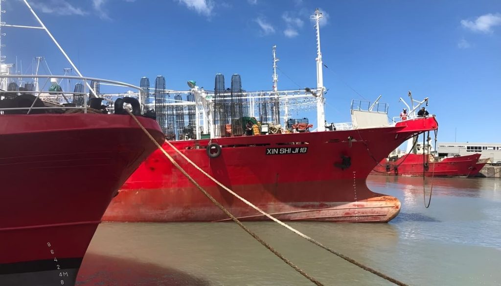 Mar del Plata se consolida como puerto clave para la zafra de calamar Illex 2026