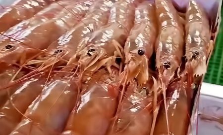 Entretelones de la primera reunión virtual entre representantes de la marinería y armadores congeladores