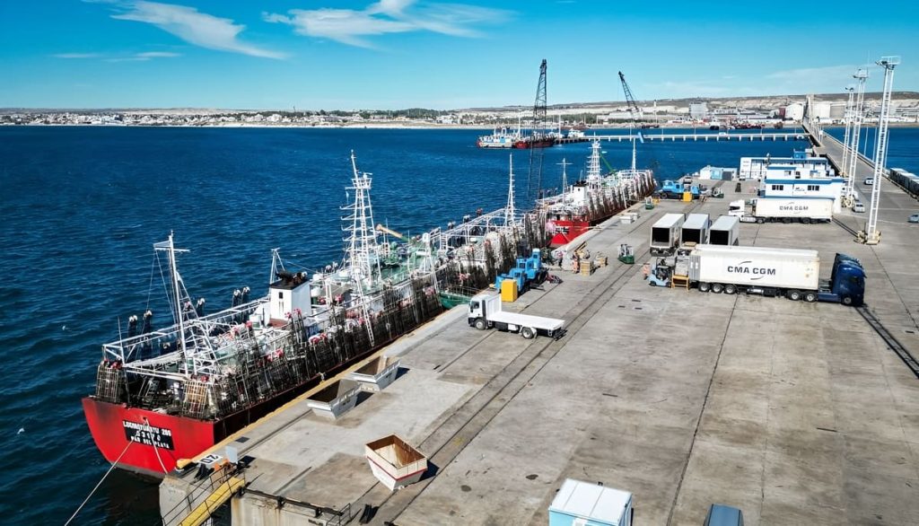 Zafra de calamar 2026: las primeras descargas en puertos patagónicos