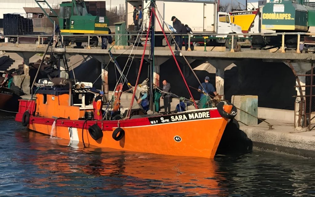 El mar “hervía” y la banquina histórica de Mar del Plata estalló en fotos. Volvió el atún tras 35 años ausente
