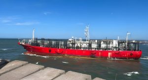 Quedó abierta la pesca de calamar desde el paralelo 44°S al 52°S dentro de la ZEEA