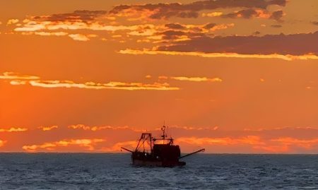 Langostino en Rawson: la zafra ingresa en su tramo final y un mercado más ofrecido