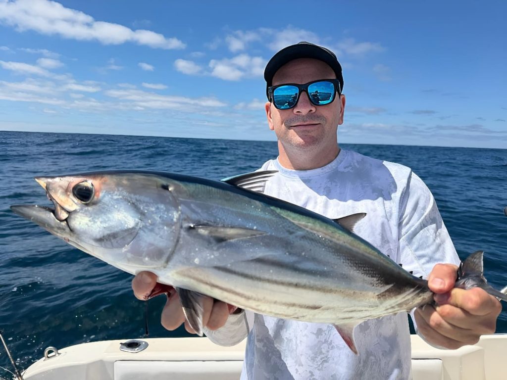 Mar del Plata, verano con sabor a mar: el atún barrilete tiñe de sorpresa la Banquina Chica