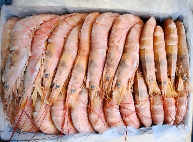 La paritaria del langostino congelado a bordo escala a Capital Humano
