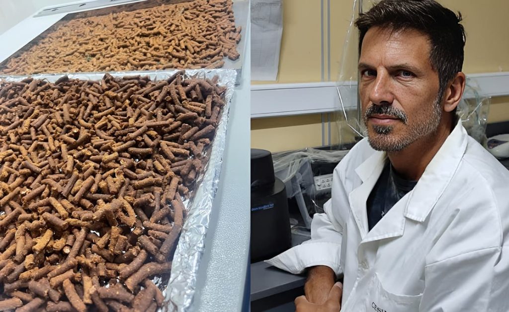 Ciencia e innovación en la industria del langostino: convierten descartes en insumo nutricional