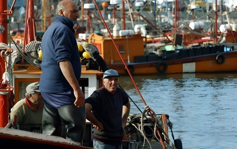 Mar del Plata. Un puerto que hizo ciudad, hace 113 años