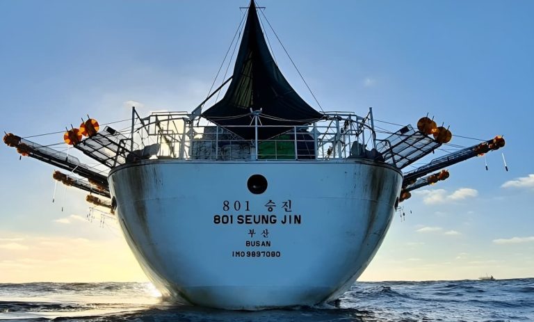 Calamar gigante: Chile, Perú y Ecuador enfrentan una pulseada clave por el control de la flota china en el Pacífico Sur