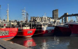 CFP Acta N° 2/2026: manejo precautorio, límites al esfuerzo y decisiones que ordenan la temporada