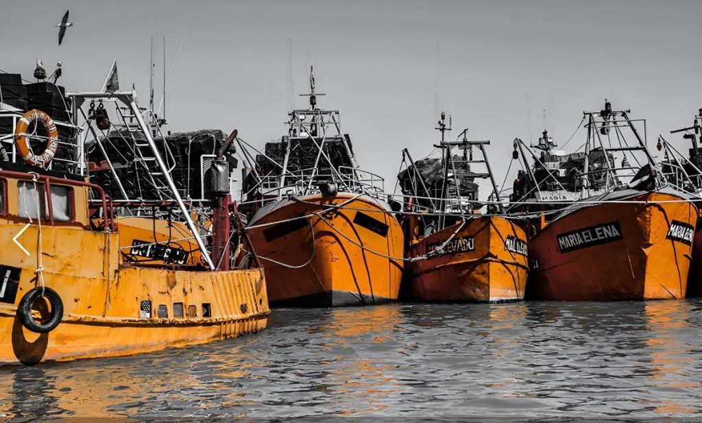 Nuevo protocolo regula la permanencia de buques sin actividad en el Puerto de Rawson